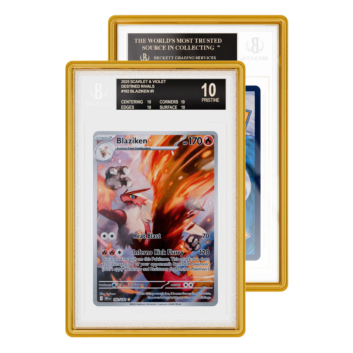 GradedGuard Slab Case (BGS) - Jewel