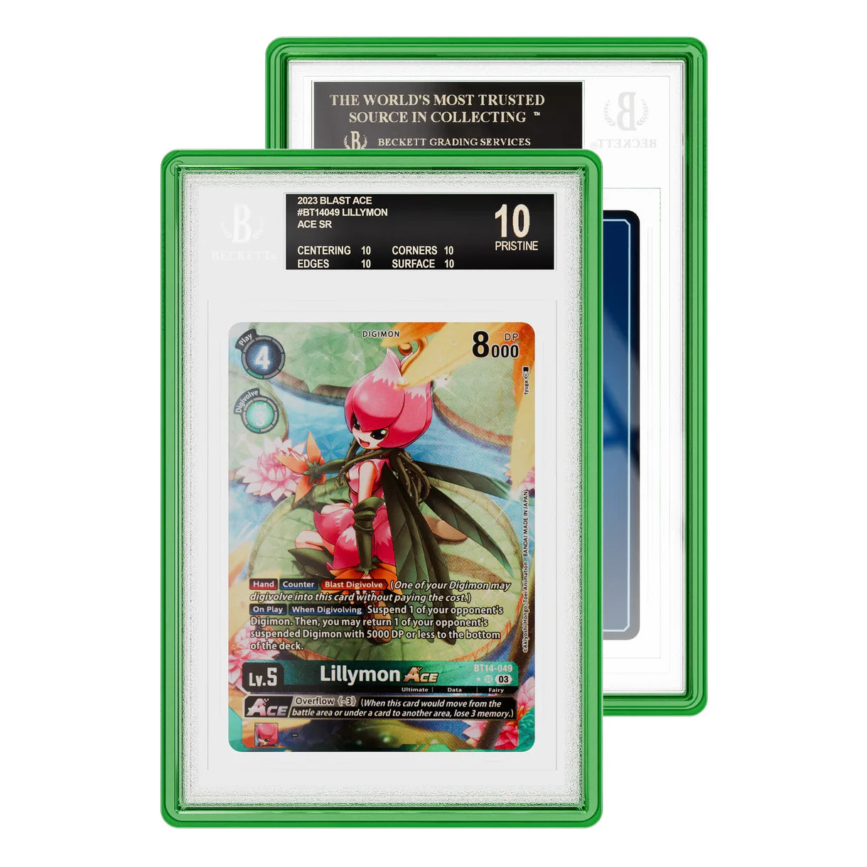 GradedGuard Slab Case (BGS) - Jewel